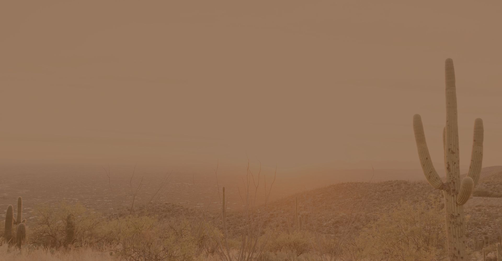 Arizona desert landscape